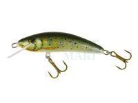 Lure Kenart Winner Pro 7cm - TR