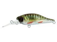 Wobler Adam's Shad 40 SP MR | 40mm 2.70g - Alevin