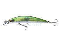 Hard Lure Daiwa Tournament Current Master 93F-SR | 9.3cm 12g - green flash ghost