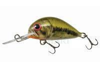 Wobler Dorado Alaska A-3,5 Floating BS