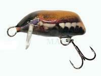 Lure Dorado Beetle 3 NB