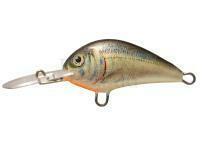 Wobler Dorado Blagier 3,5F AL