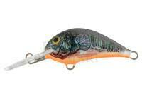 Wobler Dorado Blagier 3,5F CK