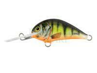 Wobler Dorado Blagier 3,5F P