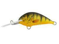 Wobler Dorado Blagier 3,5F YP