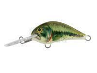 Wobler Dorado Blagier 3,5S BS