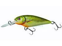 Wobler Dorado Invader I-4 Floating GRS
