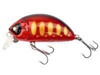 Lure Lucky John Haira Tiny Shallow Pilot 44F - 202