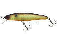 Wobler Illex Arnaud 100 F | 10cm 16g - Muddy Roach