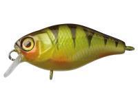 Hard Lure Illex Chubby 38 mm 4g - Perch