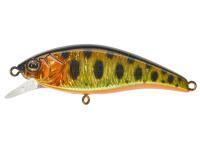 Wobler Illex Flat Tricoroll 45 S - HL Gold Trout