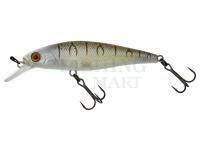 Wobler Illex Squad Minnow 65 SP - Tiger Bone