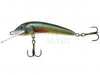 Lure Jaxon Ferox 10cm F Color UK