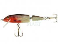 Hard Lure Jaxon Holo Select Horn 11cm 16g F - RB