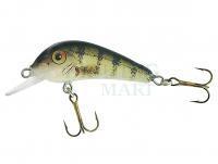 Hard Lure Jaxon Holo Select Senso 35F 3.5cm 2.2g - OF