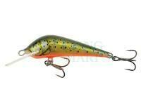 Lure Kenart Dynamic 6cm NT