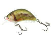 Lure Kenart Hunter 5cm GO