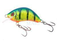 Lure Kenart Hunter 5cm PX