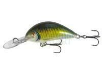 Lure Kenart Shark 5cm GF