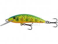 Wobler Kenart Winner Pro 7DR F 7cm 6g - RX