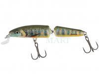 Lure Salmo Fanatic IF7F 7cm - Lake Charr (LC)