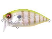 Hard Lure Megabass Over Rev Crank Burning Shad 58mm 10.6g - PM Chart Back Gill