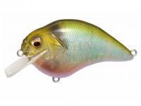 Wobler Megabass S-Crank 1.5 F | 65.6mm 14g 1/2oz. - GP FATTY OIKAWA