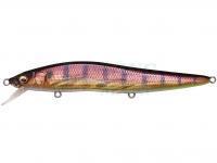 Hard Lure Megabass Vision Oneten LBO 115mm 14g - GG END MAX