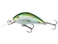 Hard lure Mikado Fishunter Cavalier 40mm 3.6g - Olive Bleak