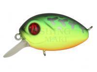 Hard Lure Pontoon21 Baby Red Rag 32F SR | 32mm 4.8g - 070 Fire Tiger