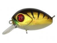 Wobler Pontoon21 Baby Red Rag 32F SR | 32mm 4.8g - 307 Crash HG Gold Perch