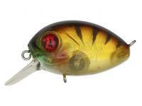 Wobler Pontoon21 Baby Red Rag 32F SR | 32mm 4.8g - 837 MI Gold Perch