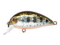 Hard Lure Pontoon21 Hypnose 38F SR | 38mm 3.7g - 050 Crash HG Silver Amago