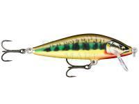 Hard Lure Rapala CountDown Elite 7.5cm 10g - Gilded Vairon (GDVR)