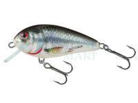 Hard Lure Salmo Butcher BR5F | 5cm 5g - HRD (Holographic Real Dace)