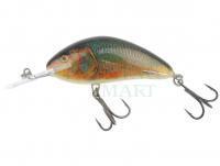 Wobler Salmo Hornet H9F - Real Roach