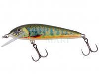 Hard Lure Salmo Minnow Floating 5 | 5cm 3g | 2" 1/16oz - Lake Charr