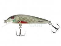 Wobler Salmo Minnow M6F 6cm - Dace