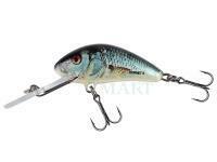 Lure Salmo Salmo Hornet 5cm 8.2g S - Real Dace