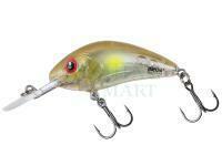 Hard lure Salmo Hornet Rattlin 3.5cm 3.2g F - Clear Ayu