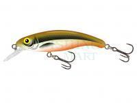 Lure Salmo Slick Stick 6cm - Hot Olive (HO)