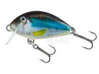 Lure Salmo Tiny IT3F - Holo Smelt (HSM)