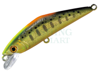 Hard Lure Smith D-Contact 63mm 7g - 52 CG Indicator