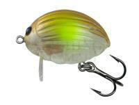 Lure Salmo Lil`Bug BG2F - Clear AYU