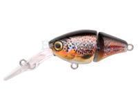 Wobler Spro IKIRU Double Crank 35F | 3.5 cm 3.4 g - Brown Trout