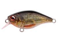 Hard Lure Spro IKIRU Mini Crank 38F SL | 3.8 cm 4 g - Roach