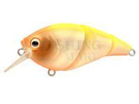 Hard Lure Spro IKIRU Tri-Crank 65F | 6.5 cm 12 g - N. Chart Back