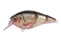 Hard Lure Spro IKIRU Tri-Crank 65F | 6.5 cm 12 g - Roach