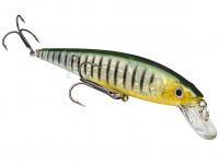 Hard Lure Strike King KVD 200 Jerkbait 11.5cm 10.6g - Phantom Perch