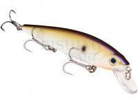 Hard Lure Strike King KVD 300 Jerkbait 12cm 14.2g - TN Shad 2.0